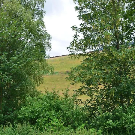 Apartment Near In Olsberg Elpe
