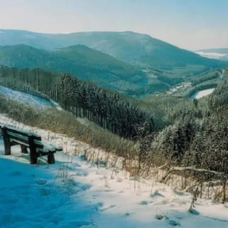 Near In Olsberg Elpe