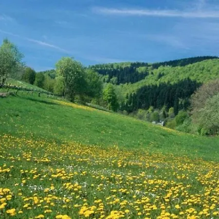 Nahe Skigebiet In Olsberg Appartement *